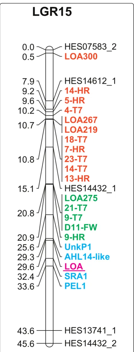 Fig. 3 Linkage group 15 (represent their location upon previously definedand B, respectively [19]