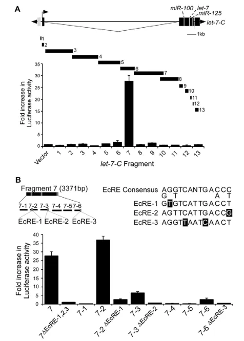 Fig. 2. of six firefly luciferase reporter constructs containing fragments (7-1 to7-6) spanning 20E inducible fragment 7 identified in A