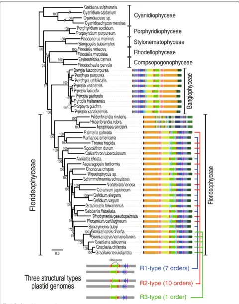 Fig. 1 (See legend on next page.)