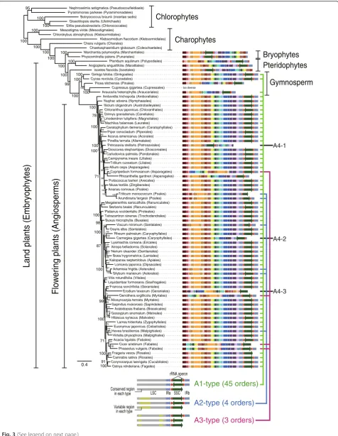 Fig. 3 (See legend on next page.)