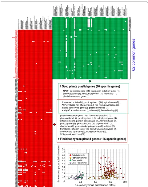 Fig. 4 (See legend on next page.)