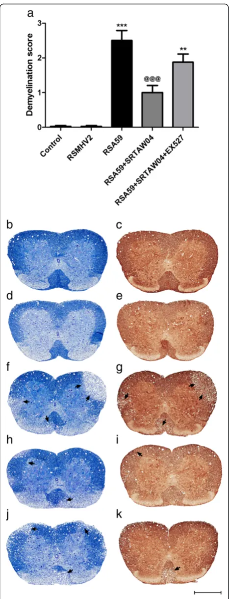 Figure 7 Effects of SRTAW04 on demyelination in the spinalNeurofilament staining shows axonal loss limited to the areas ofdemyelination seen on LFB stained sections.(f,g)andcord