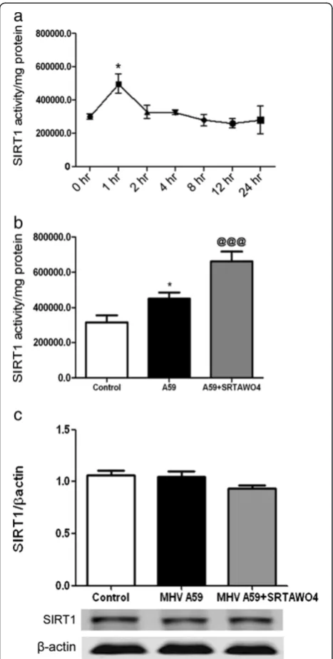 Figure 2 SRTAW04 treatment increases SIRT1 activity in opticnerves without affecting expression