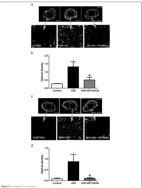 Figure 5 (See legend on next page.)