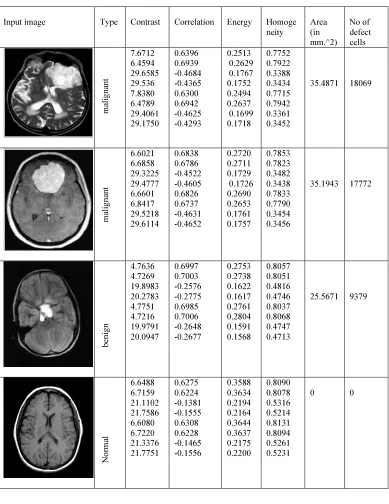 Table 2: Features Extracted From The Images: 