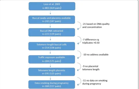 Fig. 1 The present study sample consisted of 233 twins of Caucasian origin (99% naturally conceived), born between 1969 and 1982, who participated ina prenatal programming study and had both placental telomere length and buccal swabs at adulthood available
