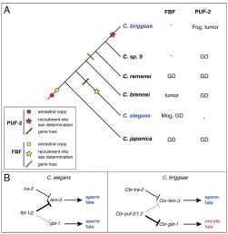Fig. S1) 