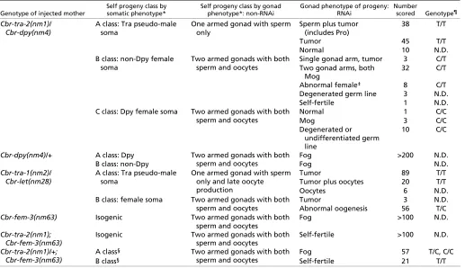 Table 2. Interactions between sex determination mutations and Cbr-puf-1.2/2 knockdown
