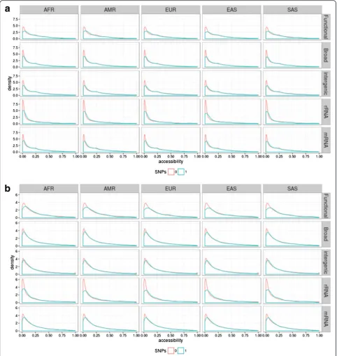 Fig. 3 Density plots showing the accessibility distribution for positions containing or not containing an SNP in the five major populations: African(AFR), Ad Mixed American (AMR), European (EUR), East Asian (EAS), and South Asian (SAS)
