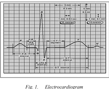 Fig. 1. 