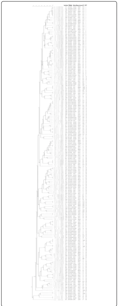Fig. 1 Pulse-field gel electrophoresis of 97 paired vancomycin-resistant Enterococcus faecium colonization and infection isolates.Wards of isolate collection were grouped as medical wards (MW),hematology ward (HW), nephrology wards (NW), surgical wards(SW)