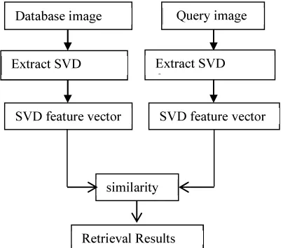 Figure 1: The Proposed Framework for Image Retrieval 