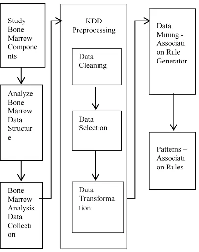 Table 1 Attributes of the Bone Marrow Data 