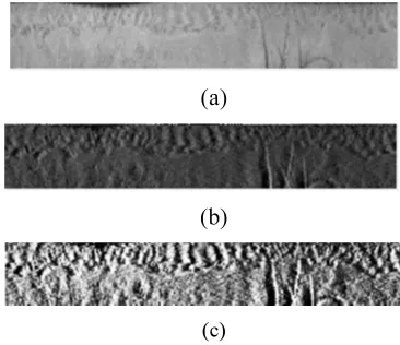 Figure 2: (a) Original Image, (b) After first stage of processing (c) Final output after histogram equalization