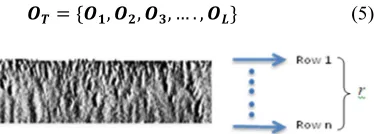 Figure 3: Final output iris image with r radius 