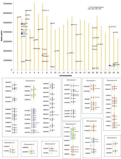 Figure 2fintrims black for with gene orientations. Gene limits depicted here correspond to the predicted start and stop codons (see details on Additional ent colors according to their subgroup: blue for group A Genomic location of zebrafish and related gen