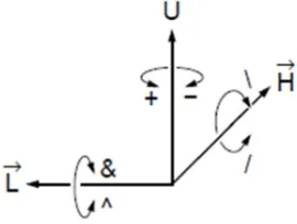 Figure 1: The production Process DOL-system 