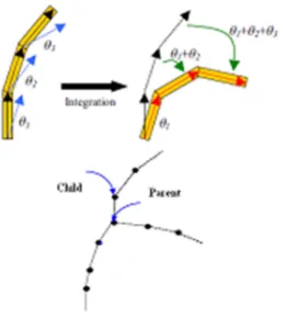 Figure 7: Design forms of plant structure 