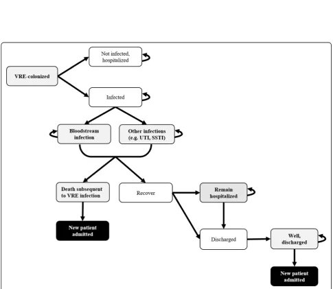 Fig. 1 Schematic illustrating the possible trajectory of an admitted inpatient (screened or not, depending on the strategy)