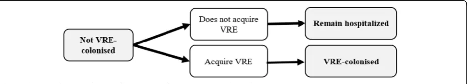 Fig. 3 Schematic illustrating the possible trajectory of patient not VRE-colonised