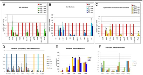 Figure 1 qPCR of a pluripotent cell type compared with cells of the regeneration blastemapseudo blastemas of st57 limbs at 0 dpa, 1 dpa, 3 dpa, and 5 dpa