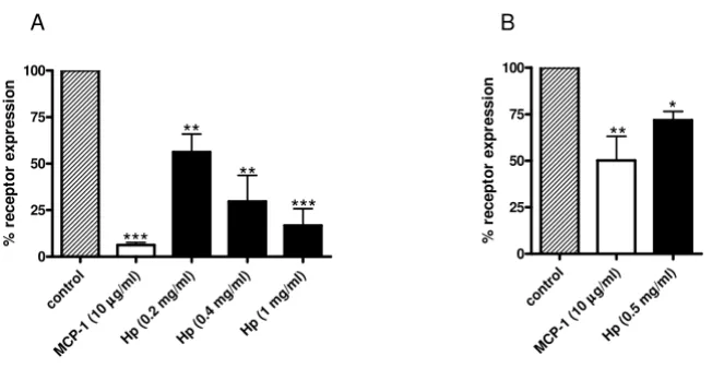 Figure 6Haptoglobin (Hp) induces chemokine (C-C motif) receptor 2 (CCR2) internalizationmean fluorescence on primary monocytes
