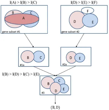 Fig. 1.An illustration of the process of gene selection using the extreme learning machine algorithm