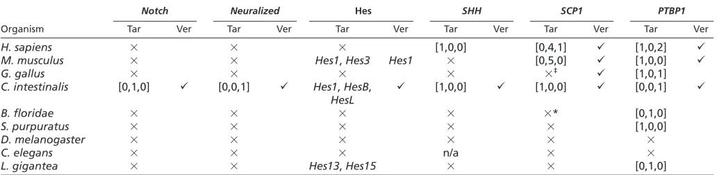 Fig. 6. Cionaconserved as verified human miR-124 targets (Lim et al., 2005; Karginov et al., 2007) were enriched with development, neural and cell cycle GOterms