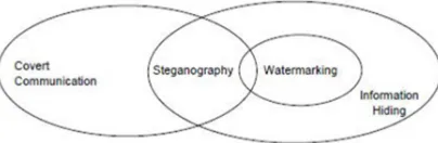 Fig.2 Steganography Flow 