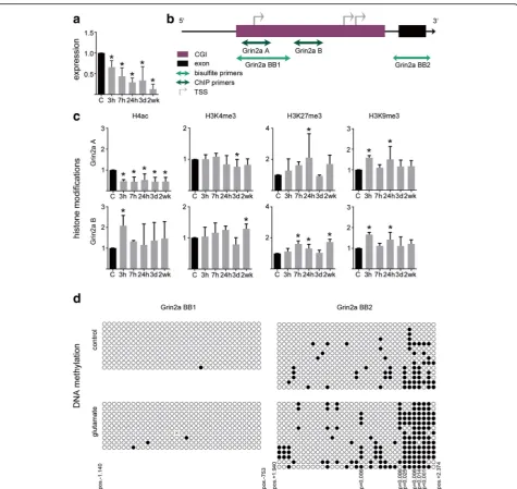 Fig. 5 Decreased Grin2a gene expression correlates with dynamic regulation of Grin2a gene promoter histone modifications.PCR used for DNA methylation analysis.promoter region of Grin2a at 5 different time points (3; 7; 24 h, 3 days; 2 weeks) after transien