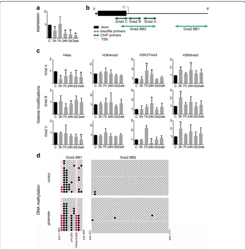 Fig. 4 Decreased Gria2 gene expression correlates with dynamic regulation of Gria2 gene promoter histone modifications.the Gria2 promoter identified increased DNA methylation of glutamate-treated neuronal cultures compared to sham controls at single CpG (a