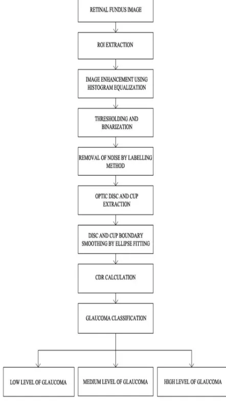Figure 3: Simplified Work Flow Of Computer Aided Glaucoma Diagnosis Through CDR Measurement 