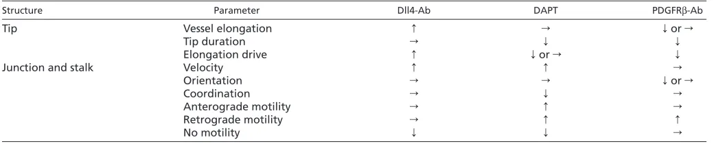 Table 1. Effects of Dll4-Ab, DAPT and PDGFR-Ab treatments for analyzed parameters