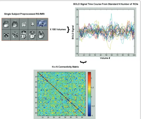 Figure 3. Extracting low-frequency fl uctuations in a single subject’s preprocessed task-free functional magnetic resonance imaging (TF-fMRI) data within a series of seeds to be used in graph theoretical analyses
