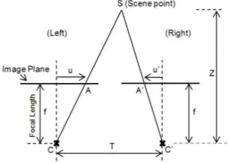 Figure 3.   