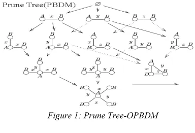 Figure 1: Prune Tree-OPBDM 