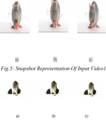 Fig.5: Snapshot Representation Of Input Video1 