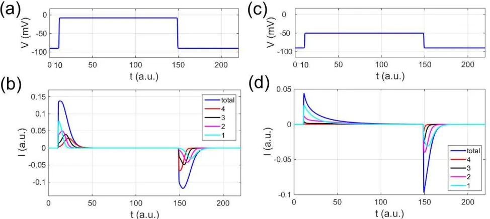 Figure 3. (a) QV curve and comparison with [7]. Steady-state distributions for Na, Cl and arginines at (b) V=-90mV, (c) V=-48mV, (d) V=-8mV
