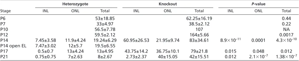 Fig. 6. Increased apoptosis in the retinasDKD/DKD 