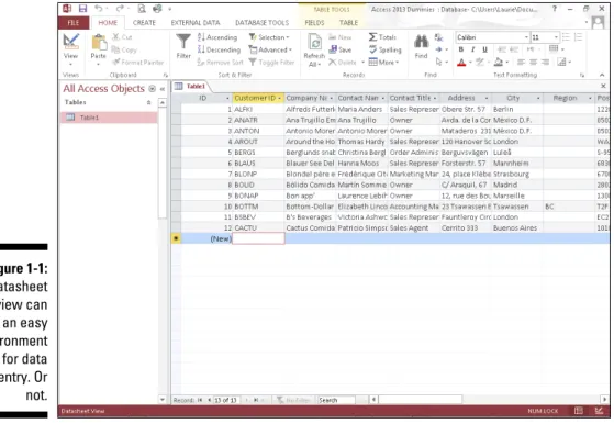 Figure 1-1:  Datasheet  view can  be an easy  environment  for data  entry. Or  not.