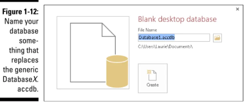 Figure 1-12:  Name your  database   some-thing that  replaces  the generic  Database X