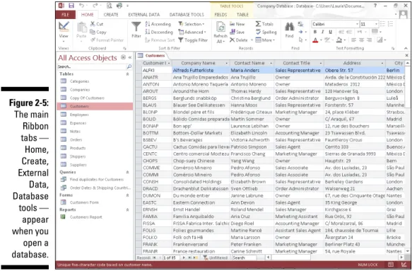 Figure 2-5:  The main  Ribbon   tabs —  Home,  Create,  External  Data,  Database  tools —  appear  when you  open a   database.