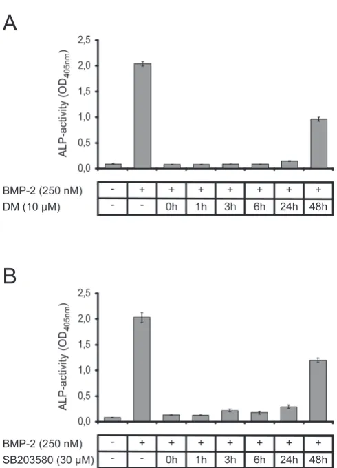 Figure 7(MAP) kinase pathwayprotein (MAP) kinase pathwayInhibition of the SMAD and p38 mitogen-activated protein Inhibition of the SMAD and p38 mitogen-activated 