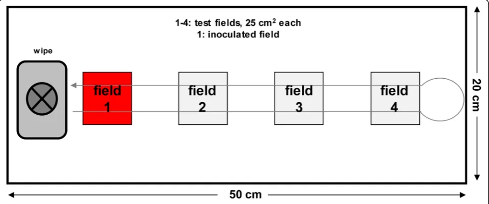 Fig. 1 PVC material with polyurethane surface coating measuring 20 × 50 cm is prepared by recording four 5 × 5 cm squares