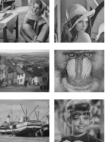 Figure 6: Test Images: Barbara, Lena, Goldhill, Mandrill, Boat and Zelda 
