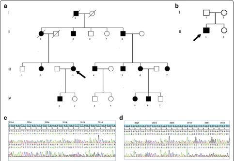 Fig. 1 Pedigree of the two families.showing nucleotides 2982 to 3041 (reference transcript NM_021076.3).(p.Lys1003Argfs*59).script NM_021076.3) a Family 1