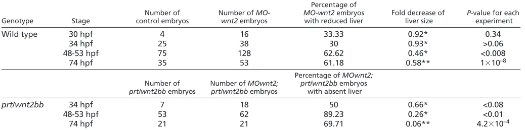 Table 1. Quantification of hepatic phenotypes following wnt2 and wnt2bb depletion