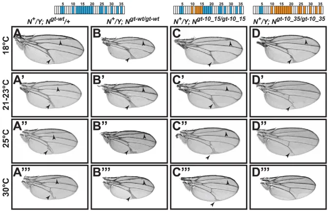 Fig. 4. O-glucose residues on EGF10-15 of