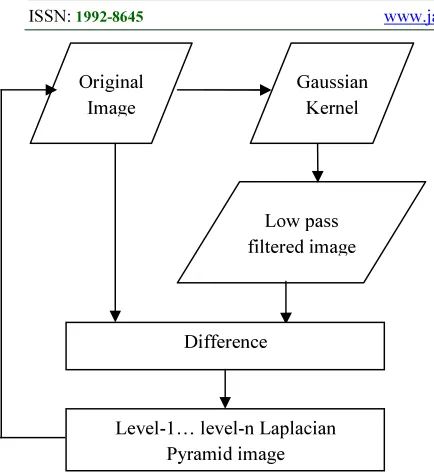 Figure 3.   Process involved in the Laplacian                             during the process of expansion
