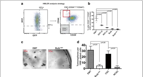 Fig. 6 The Z-cad dual sensor enriches for CSCs better than either sensor alone. a Analysis strategy for identifying CD24/CD44 expression ofHMLER cells first gated based on distinct Z-cad expression patterns